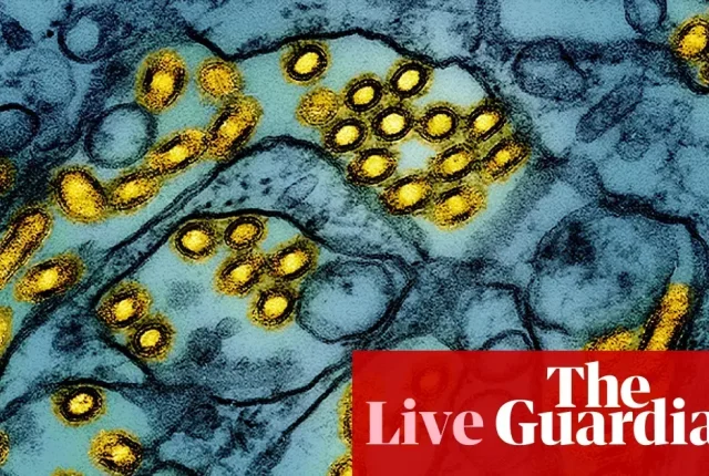 Australia: Obawy o ptasią grypę H5N1 i sporne kwestie pomocy międzynarodowej
