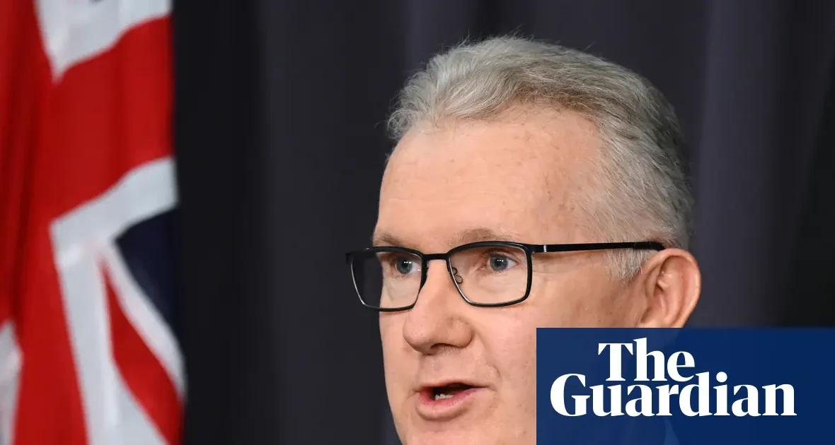 Ostatnia Australijka powiązana z ISIS wraca do kraju mimo wcześniejszego zakazu