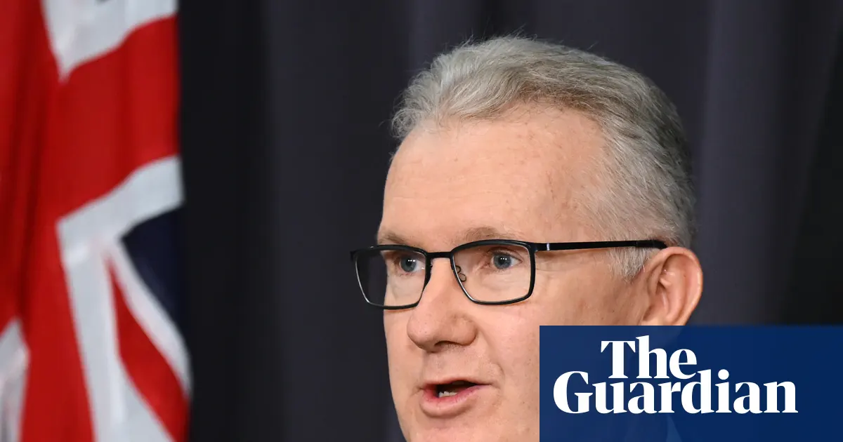 Australijska kobieta powiązana z Państwem Islamskim wraca do kraju z syryjskiego obozu.