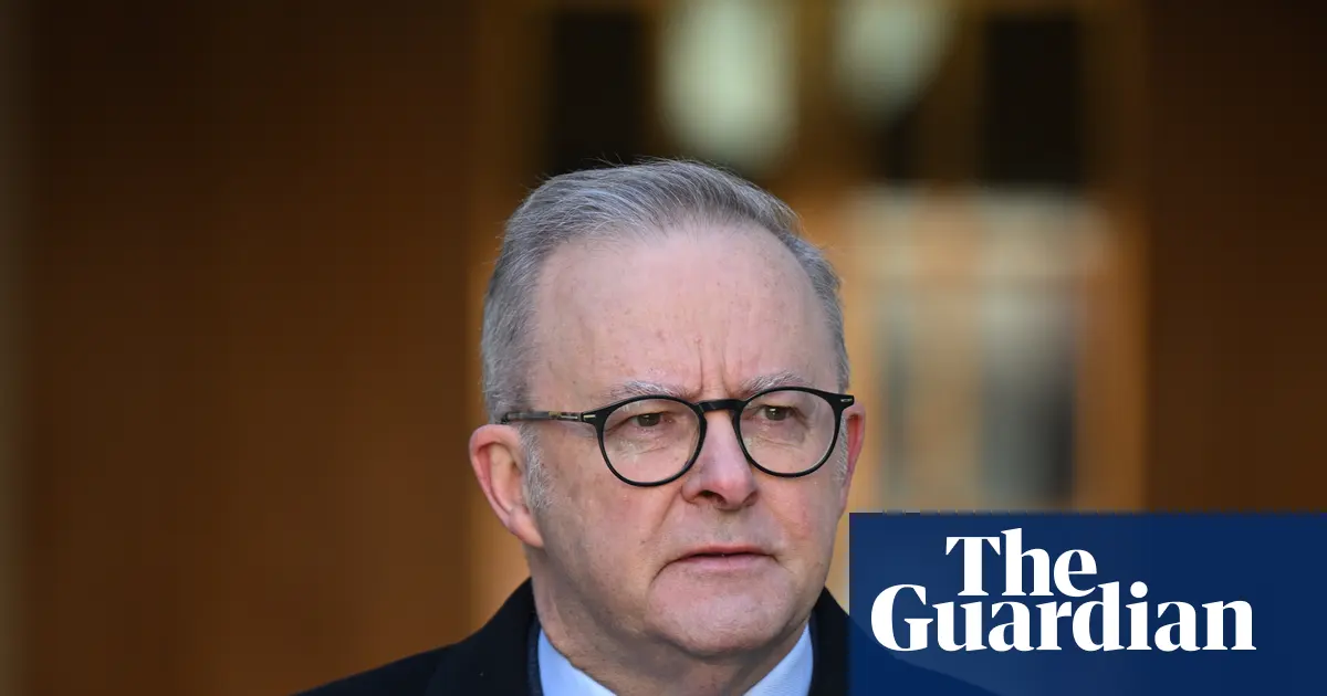 Zdjęcie brązowego wydrzyka (skua) lub innego ptaka morskiego na australijskim wybrzeżu, symbolizującego zagrożenie ptasią grypą H5N1.