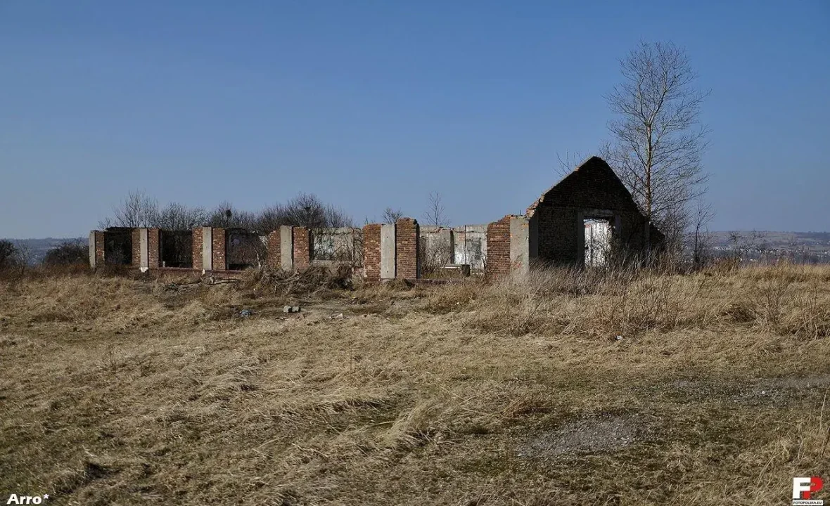 Jak założyć działalność gospodarczą w Polsce? Praktyczny przewodnik