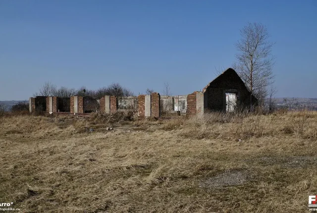 Jak założyć działalność gospodarczą w Polsce? Praktyczny przewodnik