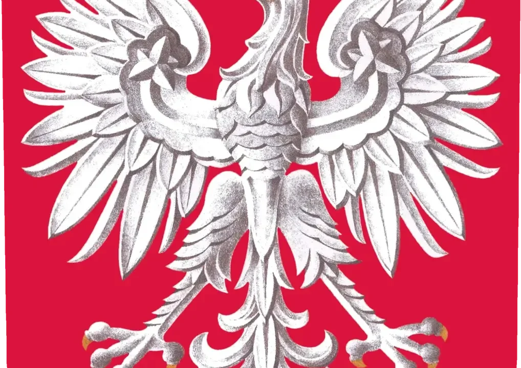Marcin Przydacz o sporze z Ukrainą: Zełenski mógł wycofać się ze „złej decyzji