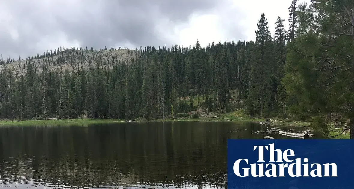 Pracownicy US Forest Service uwolnieni po 12 godzinach porwania w Kalifornii