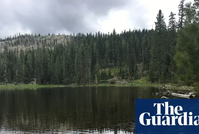 Pracownicy US Forest Service uwolnieni po 12 godzinach porwania w Kalifornii