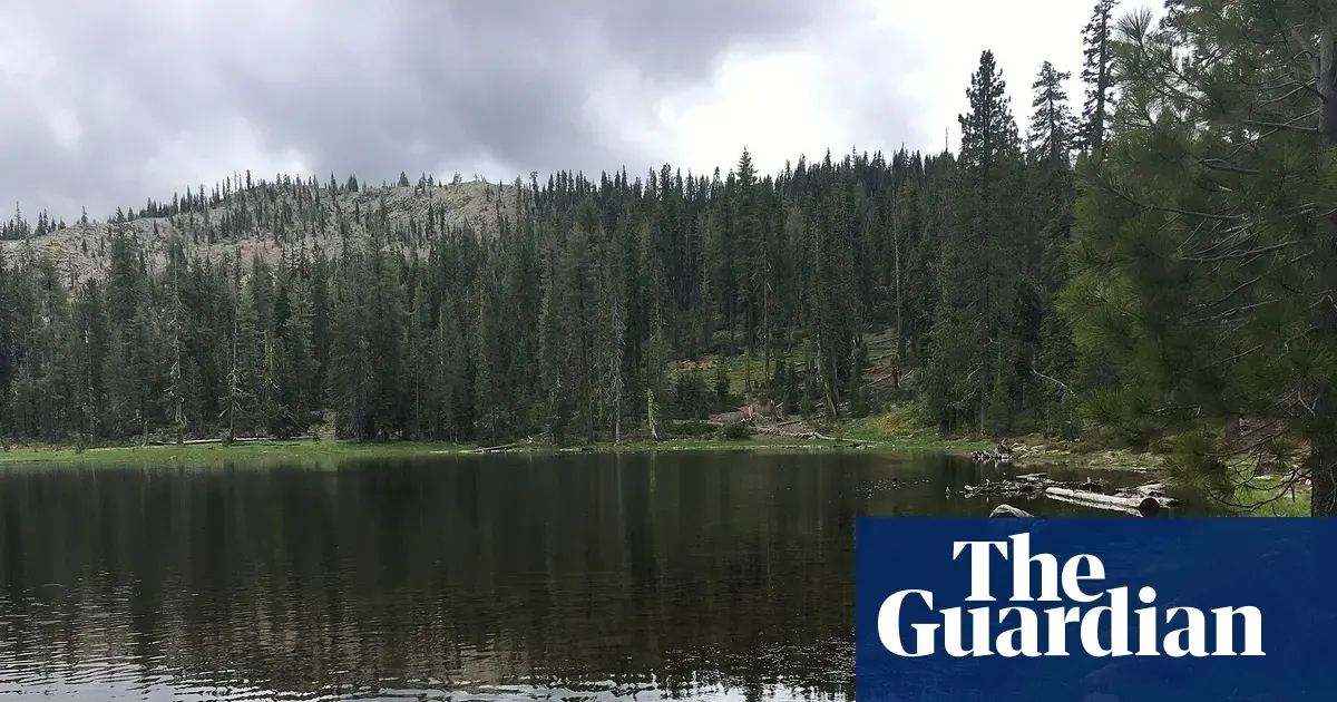 Widok na jezioro Gumboot w Shasta-Trinity National Forest w Kalifornii