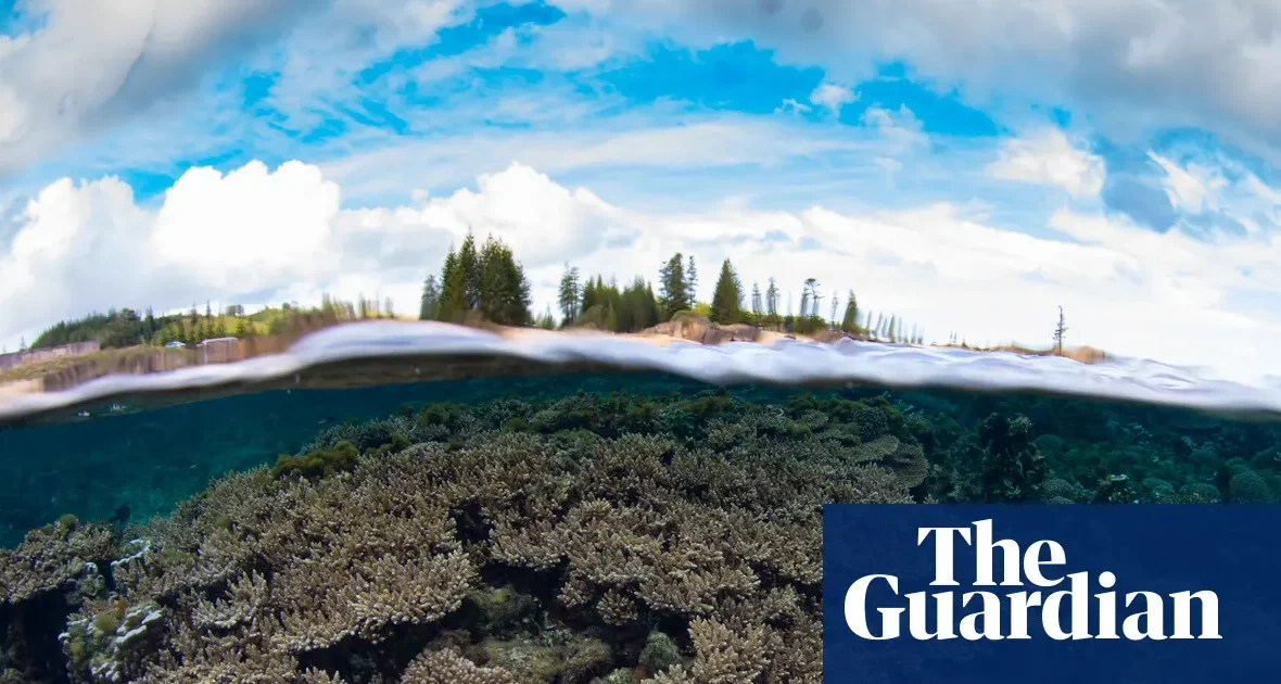 Koralowce Wyspy Norfolk zagrożone potrójnym niebezpieczeństwem: choroba, El Niño i pogłębianie
