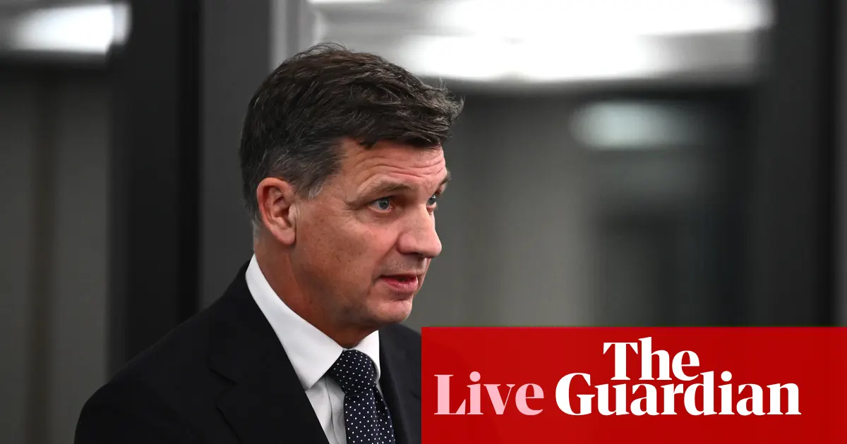 Samolot Qantas na płycie lotniska, pracownik techniczny Telstra naprawia sprzęt, Pauline Hanson przemawia