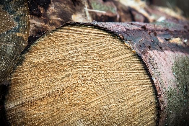Polska branża meblarska w kryzysie: rosną długi i zagrożone miejsca pracy