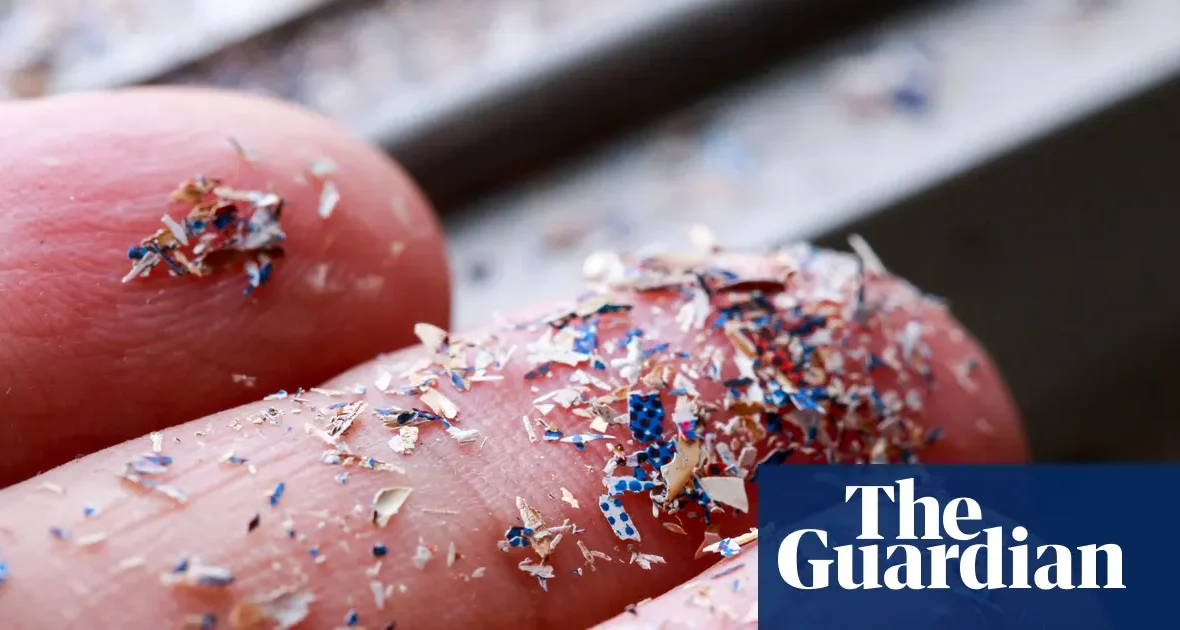 Mikroplastik w glebie zagrożeniem dla bezpieczeństwa żywnościowego. Ostrzegają brytyjscy naukowcy i parlamentarzyści