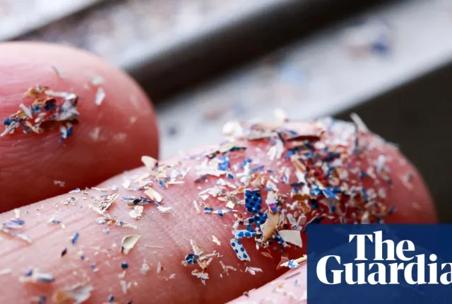 Mikroplastik w glebie zagrożeniem dla bezpieczeństwa żywnościowego. Ostrzegają brytyjscy naukowcy i parlamentarzyści