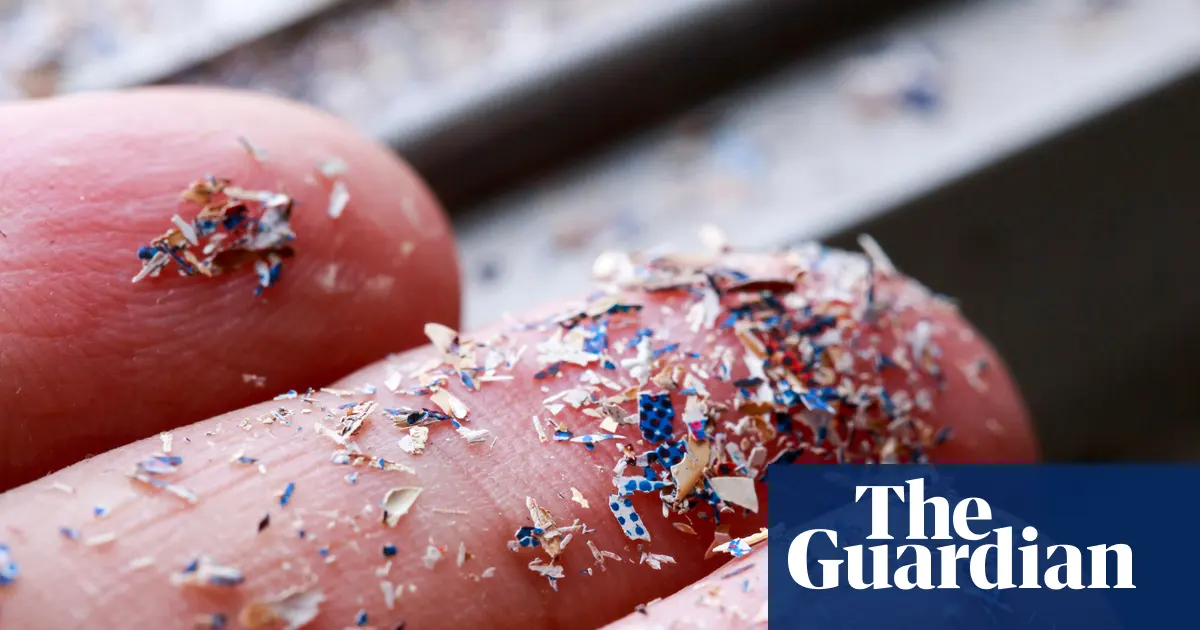 Próbki gleby w laboratoriach badawczych analizowane pod kątem obecności cząstek mikroplastiku.