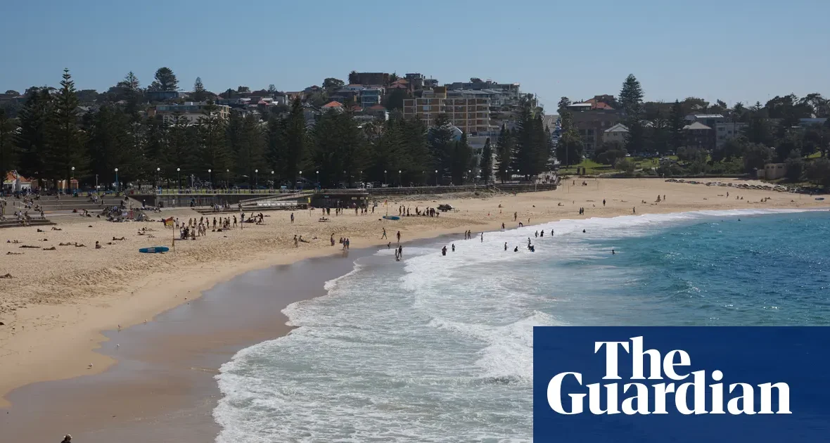Sydney: plaże Coogee i Maroubra zamknięte po znalezieniu szczątków wieloryba