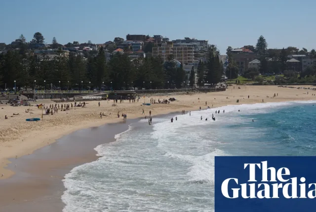 Sydney: plaże Coogee i Maroubra zamknięte po znalezieniu szczątków wieloryba