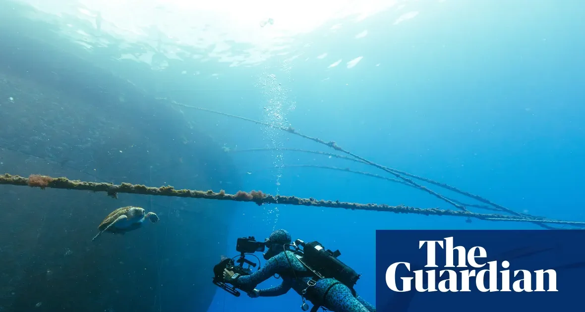 Blue Planet III pokazuje mniej idealne ujęcia, by udowodnić autentyczność w dobie AI