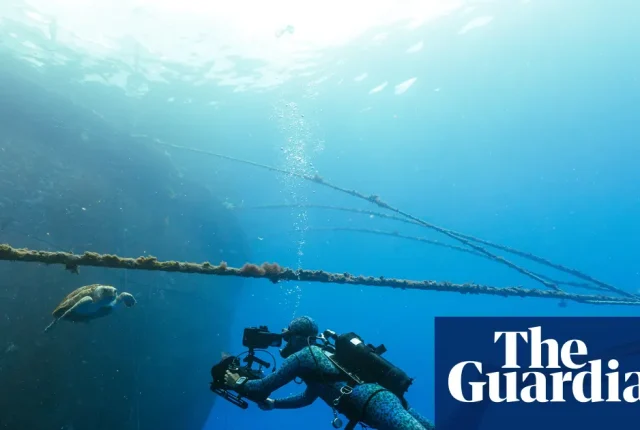 Blue Planet III pokazuje mniej idealne ujęcia, by udowodnić autentyczność w dobie AI