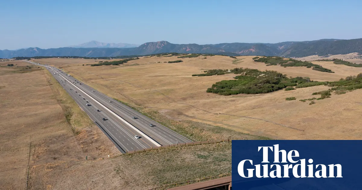 Trawiaste przejście dla dzikich zwierząt nad sześcioma pasami autostrady I-25 w Kolorado